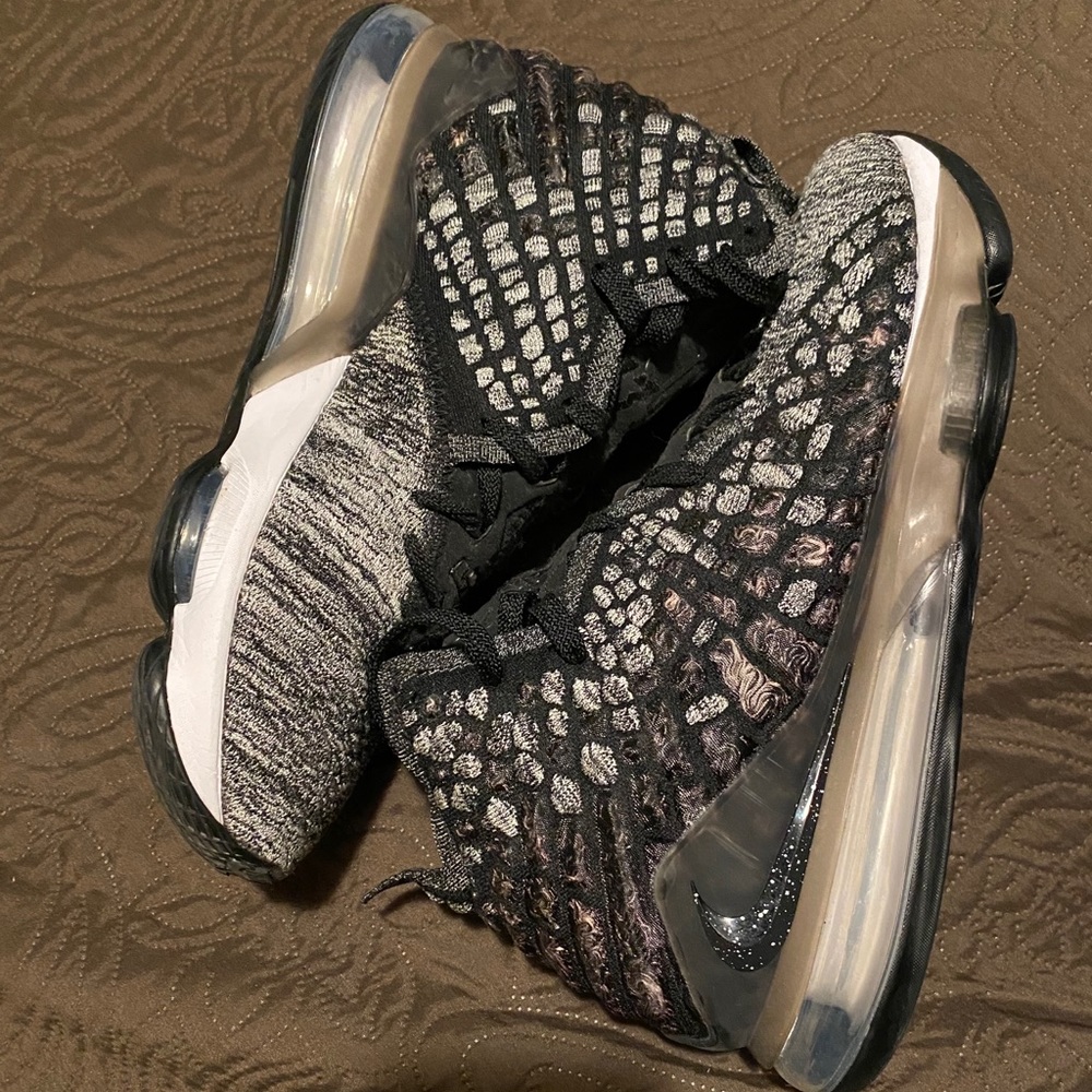 Lebron 17 ‘In the Arena’